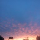 ���� ����, ������, 41 ��� - ��������� 27 ������� 2023 � ������ ���� ����������