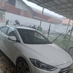 �. �., ������, 49 ���