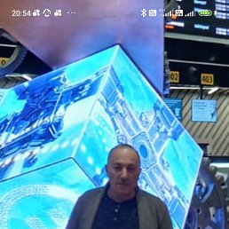 , 54, 