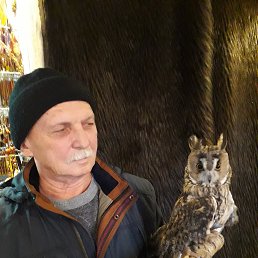 ���� ��������, ����, 67 ��� - ��������� 18 ������ 2025