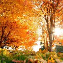 ���� ���� 132, �����, 60 ��� - ��������� 18 ������ 2023 � ������ ������ ��������
