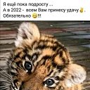���� ����������, ���������, 50 ��� - ��������� 9 ������ 2023 � ������ ���� ����������