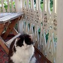 ���� �������, ������, 62 ���� - ��������� 20 ����� 2025