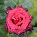 ���� Aleksandr, �����������, 64 ���� - ��������� 12 ���� 2026 � ������ ���� ����������
