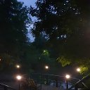 ���� �����, ������ - ��������� 29 ���� 2025 � ������ ������ ��������