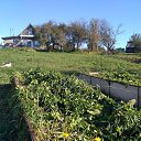  Elena, -, 76  -  8  2025