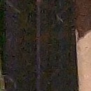 ����, 42 ����, ������