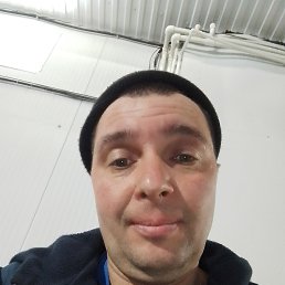 ������, 41 ���, ������