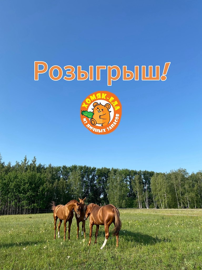 РОЗЫГРЫШ КОРМОВ И ПОЛЕЗНЫХ ДОБАВОК! Хочешь выиграть абсолютно натуральный и полезный корм для своей ...