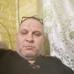 ���� Bv, ������, 51 ��� - ��������� 2 ����� 2024