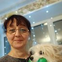 ���� ������, ���������, 55 ��� - ��������� 3 ������ 2026 � ������ ���� ����������