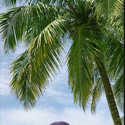 ���� ����, ���������, 32 ���� - ��������� 14 ������� 2025