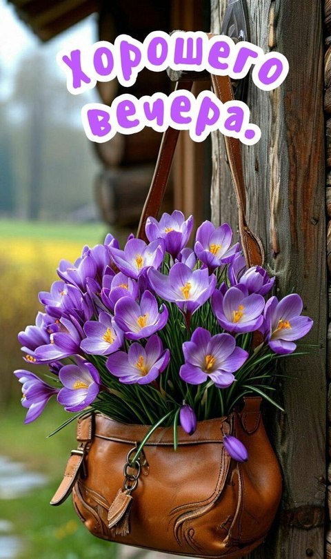   ,    . - 2  2025  17:28