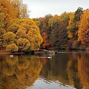 ���� Black Angel, ������, 35 ��� - ��������� 19 ������ 2024 � ������ ������ ��������