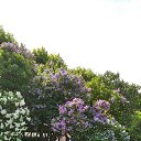  , -, 66  -  14  2025    