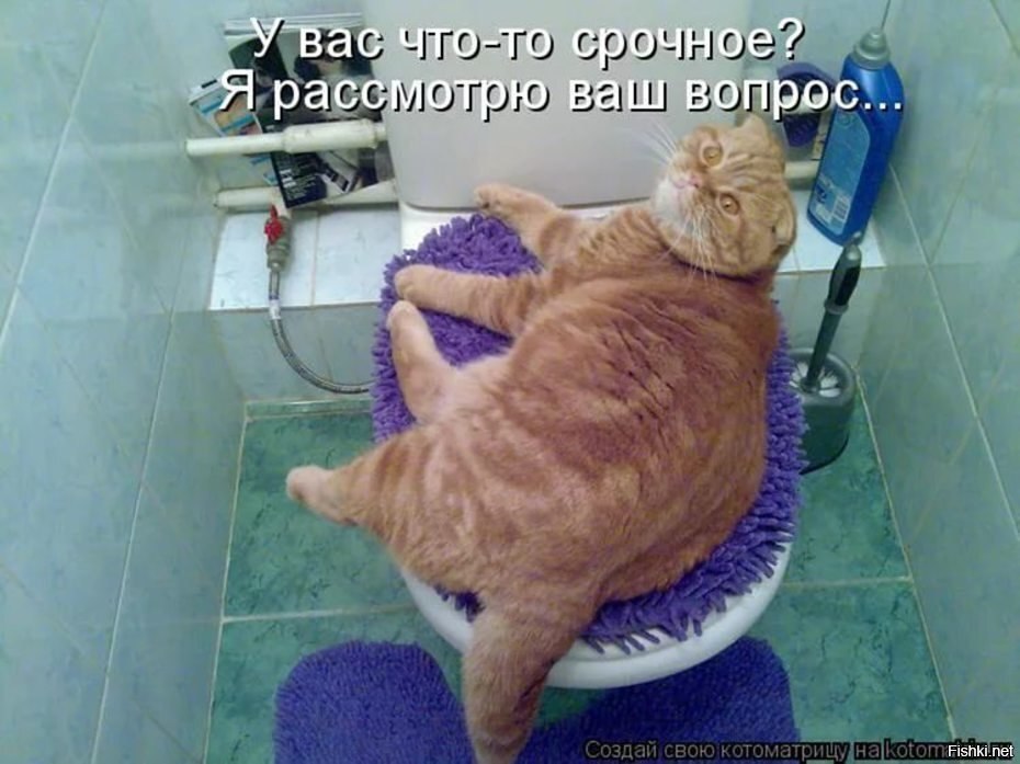 ��� ���� - 15 ������ 2026 � 14:52