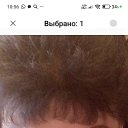 ���� �����, ������, 64 ���� - ��������� 8 �������� 2025 � ������ ���� ����������