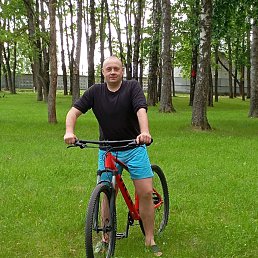 , 37, 