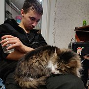 �������, 22 ����, ������