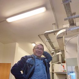 ���, ������, 55 ���