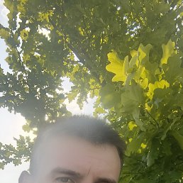 , 30, 