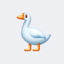 ������, �����������, 25 ���