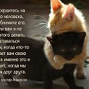 ���� ���������, ���������, 74 ���� - ��������� 5 ��� 2026 � ������ ������ ��������
