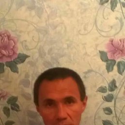 , 41, --