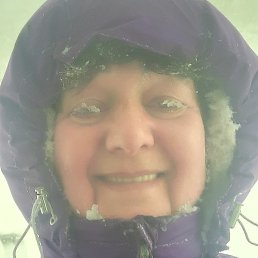 �������, �����������, 63 ����