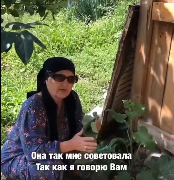 ,    ,  :        ... - 2