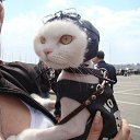 ���� ���������, ������������, 37 ��� - ��������� 19 ������ 2024 � ������ ���� ����������