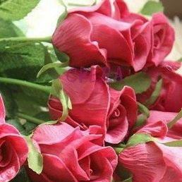 ���� ��������, ����������, 56 ��� - ��������� 7 ������ 2024