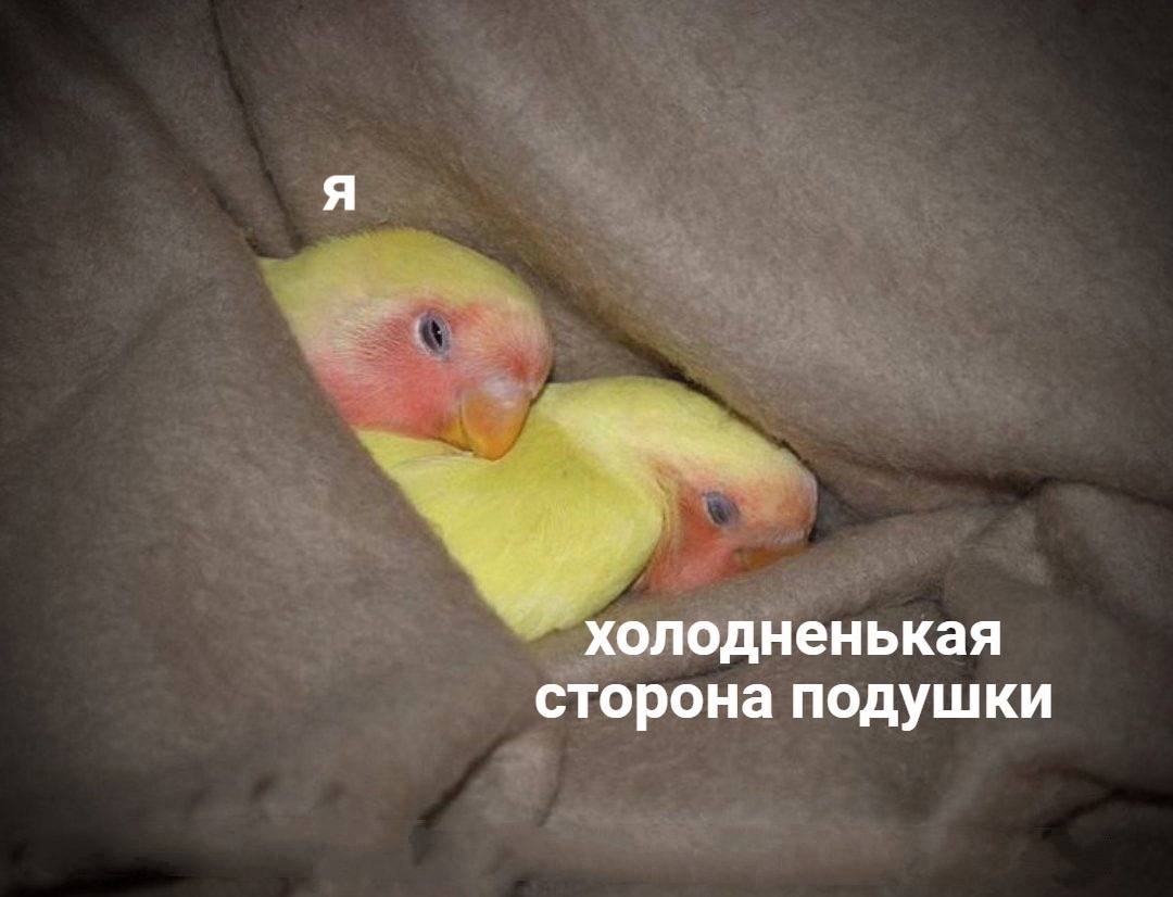    - 30  2024  11:13