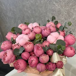 �����, ������, 63 ����