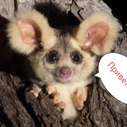 ���� �����, ������, 46 ��� - ��������� 15 �������� 2024