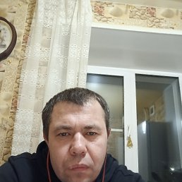 ���� ������, �����, 41 ��� - ��������� 8 ������ 2024