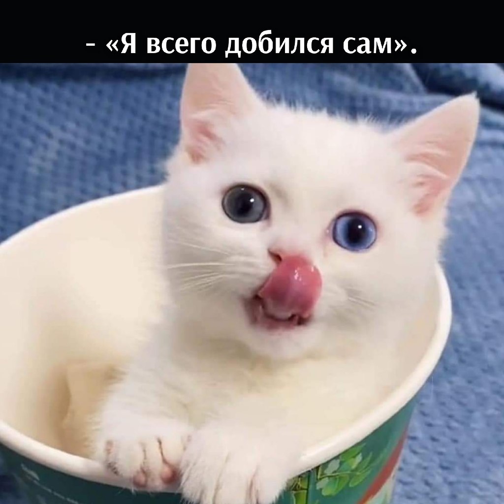  ,   - 5