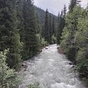 ���� ����, ������ - ��������� 25 ���� 2026 � ������ ���� ����������
