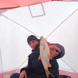 , 39, 