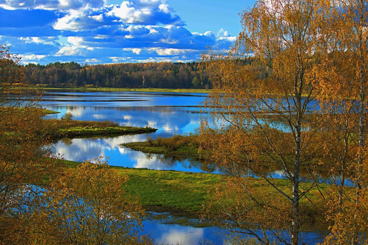 p.����. (�e�.o��) �ce��. - 5