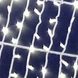 ����, �����, 48 ���