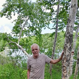 �������, �������������-����������, 64 ����