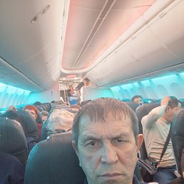 �����, 51 ���, ���������