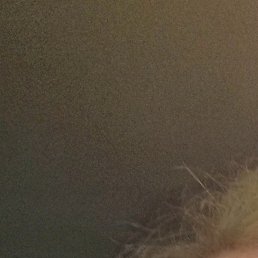 �������, �����-���������, 68 ���