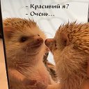 ���� �������, ����� - ��������� 2 ������� 2026 � ������ ������ ��������