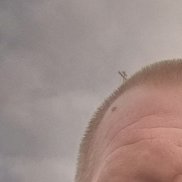 ��������, 47 ���, ������-��-����