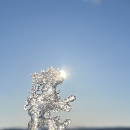 �, ��������, 20 ���