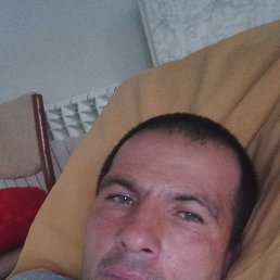 �����, 43 ����, �������