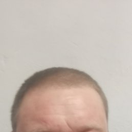 �����, 37 ���, ������