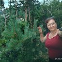 ���� �������, ��������, 51 ��� - ��������� 12 ������� 2026 � ������ ���� ����������